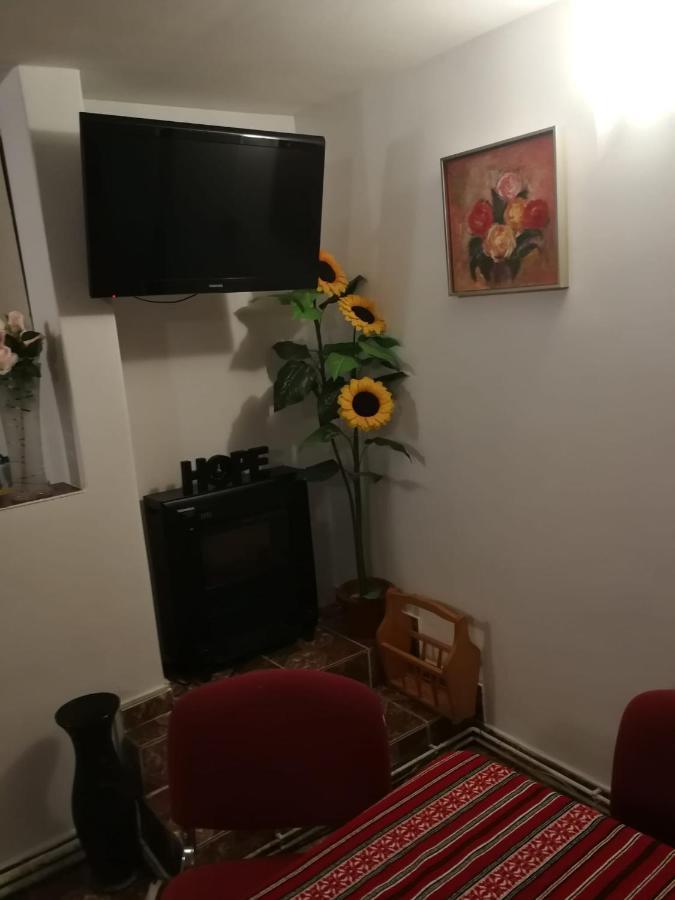 Pensiunea Mir Bran  Exteriör bild