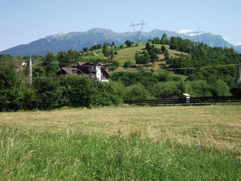 Pensiunea Mir Bran  Exteriör bild